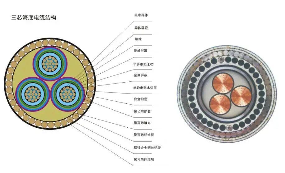 海底分界线_全球海底光缆分布图_海底地形分布规律